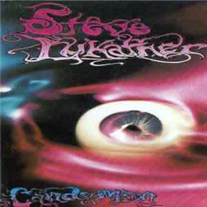 Steve Lukather - Candyman flac