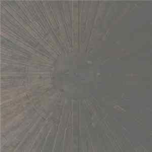 William Basinski & Lawrence English - Selva Oscura flac