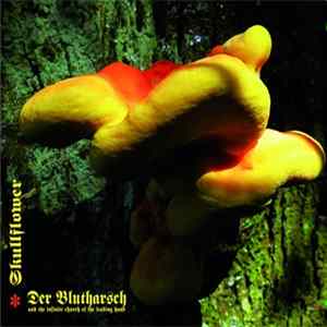 Der Blutharsch And The Infinite Church Of The Leading Hand + Skullflower - Angel Of Darkness flac