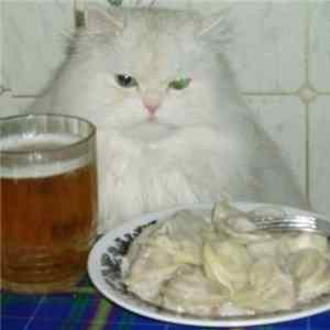 Sloth - Your Pierogies Is At My House flac