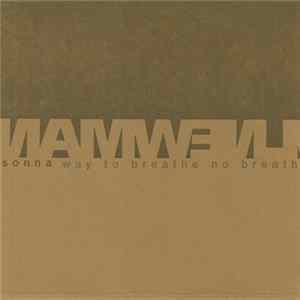 Sonna / Paul Newman - Way To Breathe No Breath flac