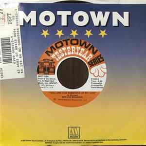 Stevie Wonder - You Are The Sunshine Of My Life flac