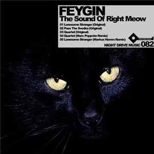 Feygin - The Sound Of Right Meow flac