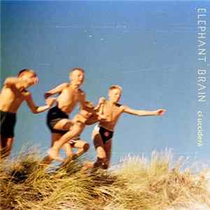 Elephant Brain - Ci Uccider flac