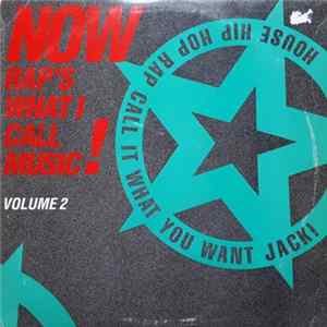 Various - Now Rap's What I Call Music! Volume 2 flac