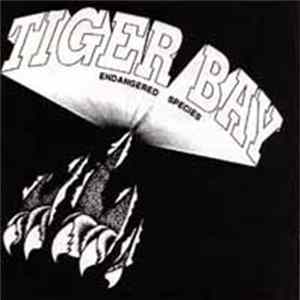 Tiger Bay - Endangered Species flac