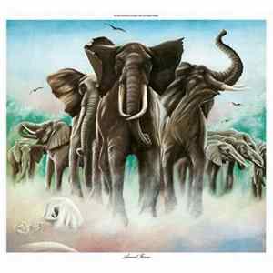 Elvis Costello & The Attractions - Armed Forces flac