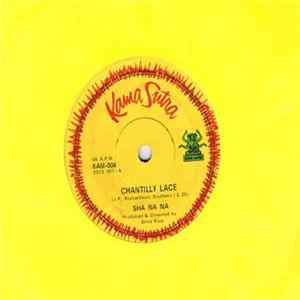 Sha Na Na - Chantilly Lace flac