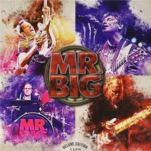 Mr. Big - Live From Milan flac