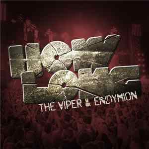 The Viper & Endymion - How Long flac