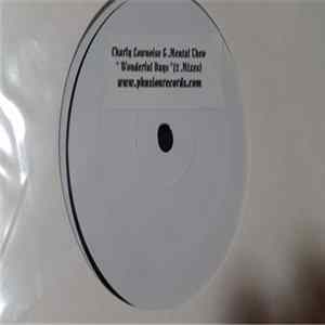Charly Lownoise & Mental Theo - Wonderful Days flac