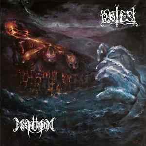 Dissimulation / Obtest - 77 flac