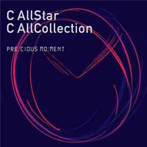 C AllStar - 此刻無價 C AllCollection flac