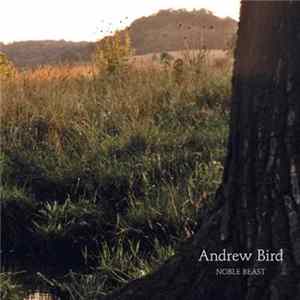 Andrew Bird - Noble Beast flac