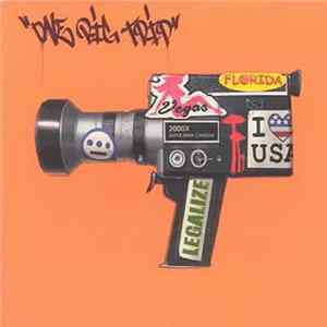 Various - One Big Trip flac