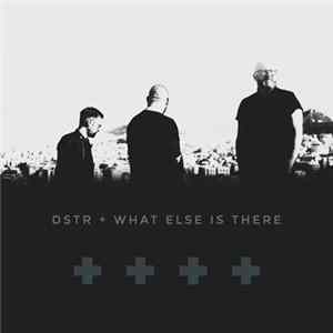 DSTR - What Else Is There (Version) flac