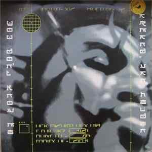 Armand Van Helden Featuring Duane Harden - You Don't Know Me flac