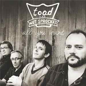 Toad The Wet Sprocket - All You Want flac