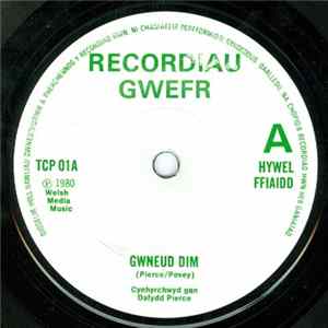 Hywel Ffiaidd - Gwneud Dim flac