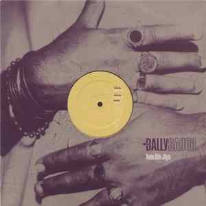 Bally Sagoo - Tum Bin Jiya flac