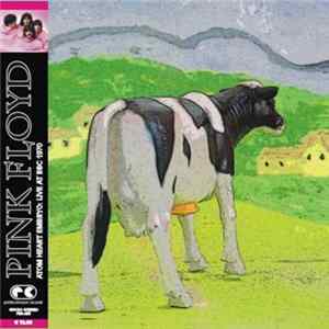 Pink Floyd - Atom Heart Embryo flac