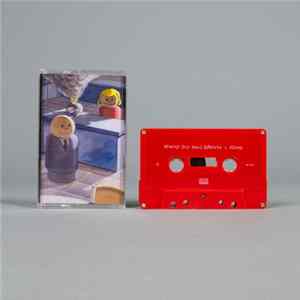 Sunny Day Real Estate - Diary flac