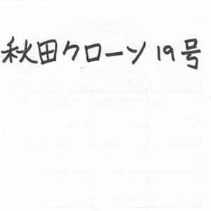 秋田クローン 19号 - Untitled flac