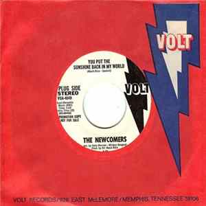 The Newcomers - You Put The Sunshine Back In My World flac