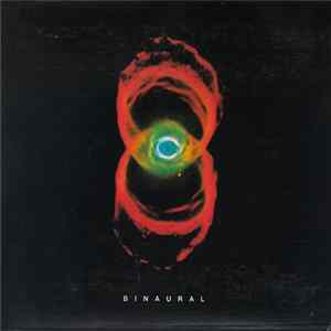 Pearl Jam - Binaural flac