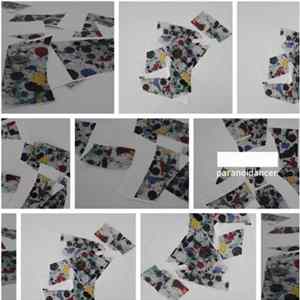 Various - Paranoid Grooves 02 flac