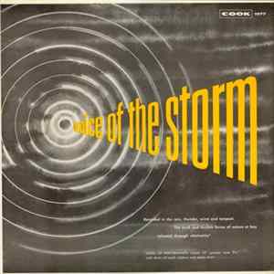 No Artist - Voice Of The Storm flac