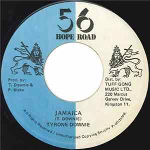 Tyrone Downie - Jamaica flac
