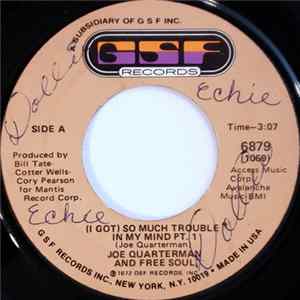 Joe Quarterman & Free Soul - (I Got) So Much Trouble In My Mind flac