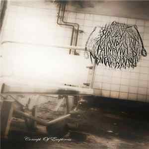 Slow And Painful Mental Wounds - Concept Of Emptiness flac