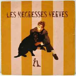 Les Negresses Vertes - Il flac