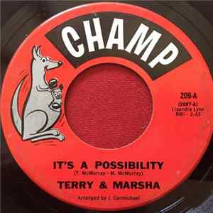 Terry & Marsha - It's A Possibility flac