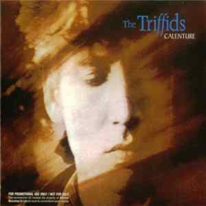 The Triffids - Calenture flac