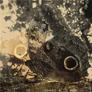 Louise Landes Levi - Ikiru Or The Wanderer flac