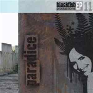 Paradice - Mellow & Steady flac
