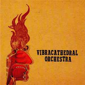 Vibracathedral Orchestra - Wisdom Thunderbolt flac