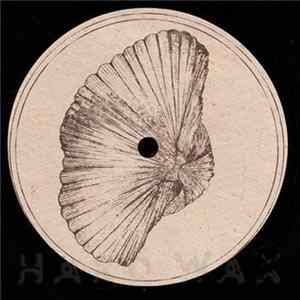 Roberto , Jamie Anderson - Billingsella Corrugata flac