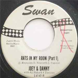 Joey & Danny - Rats In My Room flac