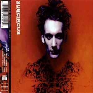 Subcircus - Do You Feel Loved flac