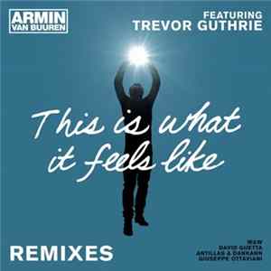 Armin van Buuren Featuring Trevor Guthrie - This Is What It Feels Like (Remixes) flac