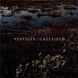Vestiges / Caulfield - Vestiges / Caulfield flac