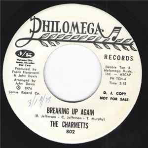 The Charmetts - Breaking Up Again / What About The Children flac