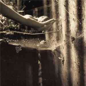 White Hotel / Christmas - Porcelain / The Secret Architecture flac