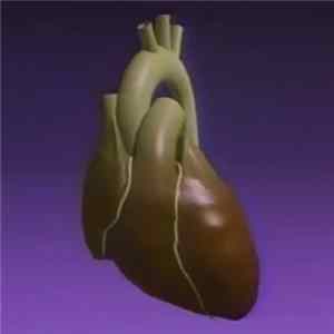 ΣPSON - Heart & Soul flac