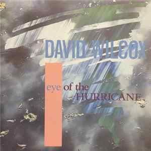 David Wilcox - Eye Of The Hurricane flac