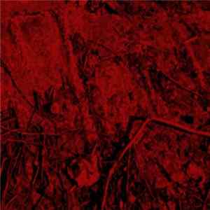 Wall Destruction - Phase flac